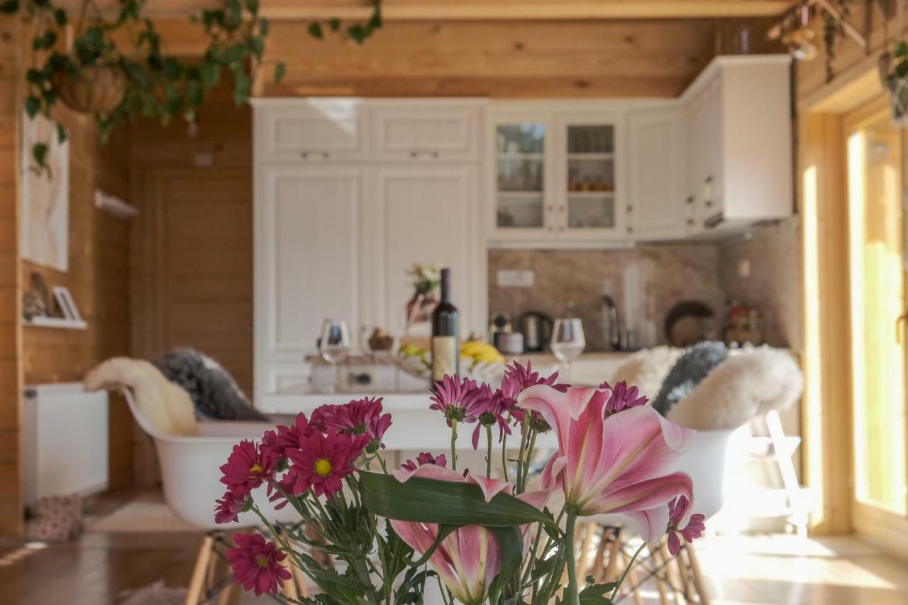 Chalet Kolasin Montenegro Εξωτερικό φωτογραφία